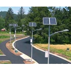 Solar Panel Light Poles two in one 1