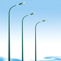 Tiang lampu jalan Bulat 8 Meter Single Paraball Ornament